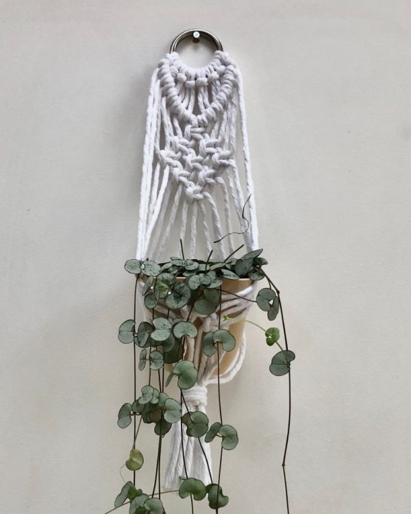 mini plant hanger