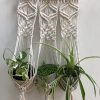 Triple Plant Hanger - Image 3