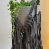 plant holder