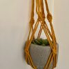 Medium Plant Holder